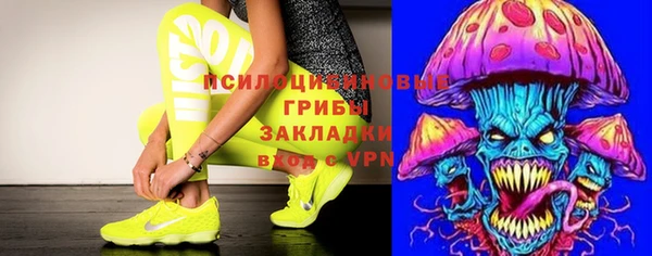 герыч Алексин