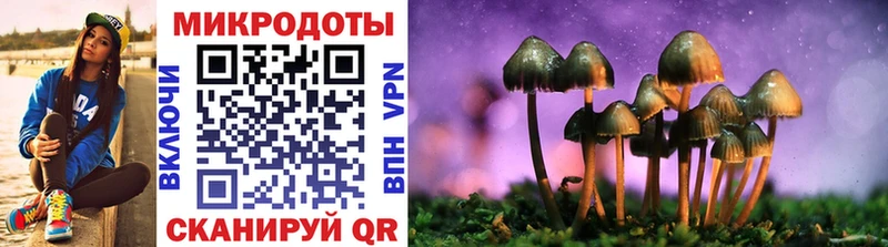 Псилоцибиновые грибы Psilocybe  Краснообск 